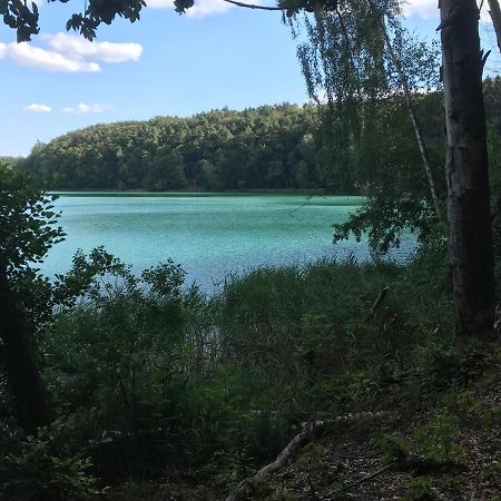 Agroturystyka "Zielone Zacisze" Villa Lagow  Luaran gambar