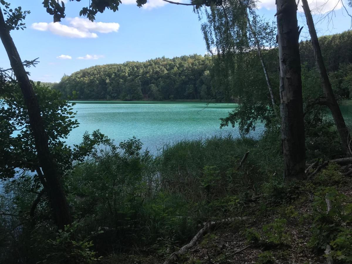 Agroturystyka "Zielone Zacisze" Villa Lagow  Luaran gambar