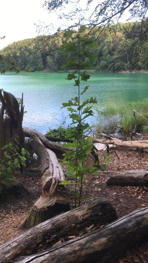 Agroturystyka "Zielone Zacisze" Villa Lagow  Luaran gambar